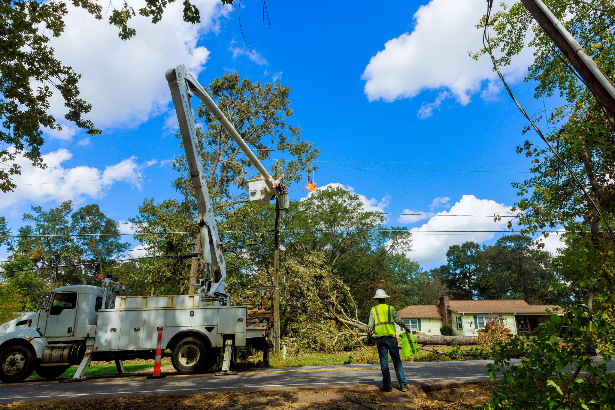 Lineman working near trees