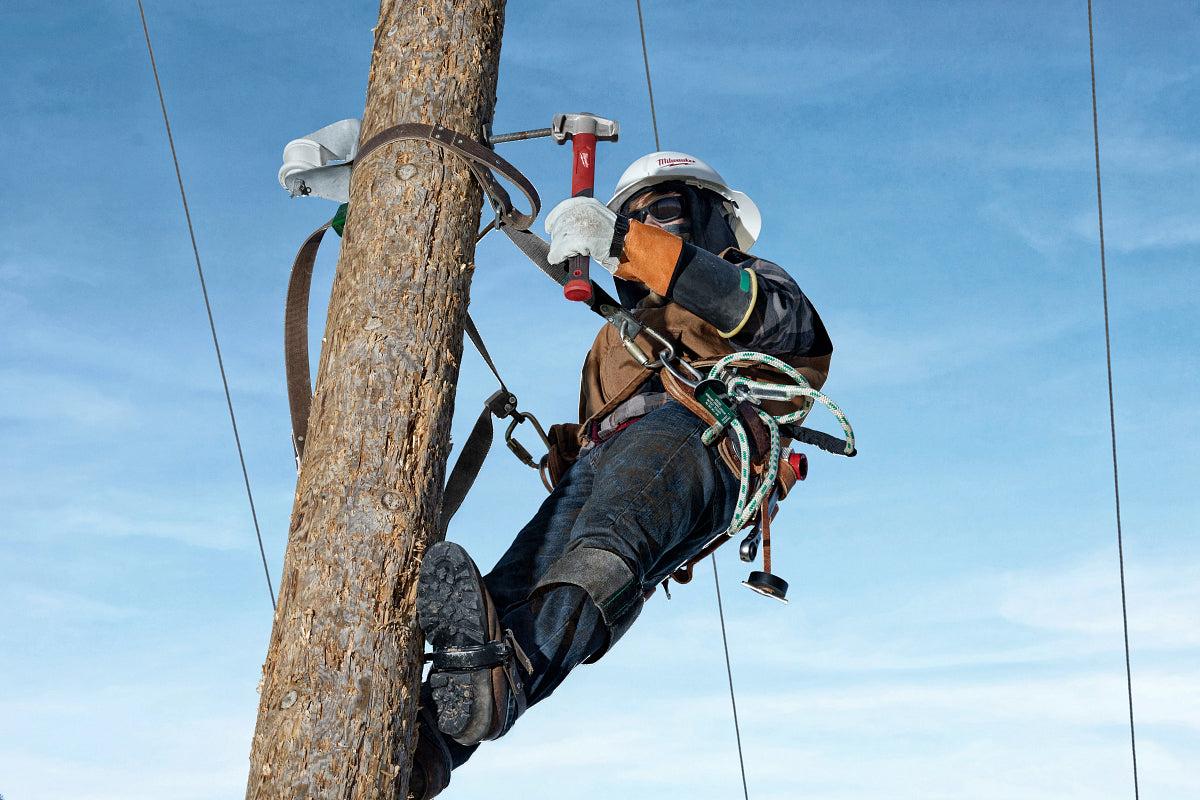 Lineman working near trees and utility pole